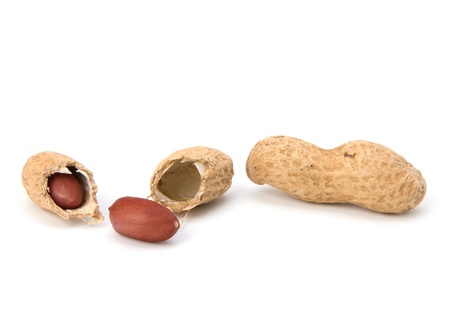 Peanut isolated on white background