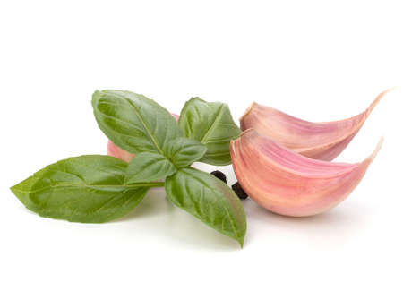 Garlic clove and basil leaf  isolated on white backgroundの写真素材