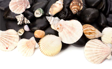 Summer holidays concept. Beach elements background with copy space.