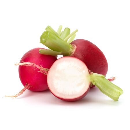 Small garden radish isolated on white backgroundの写真素材