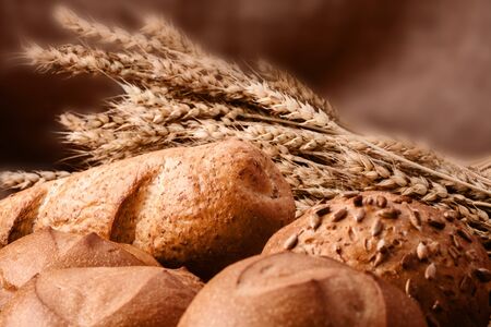 Assortment of breads and ears bunch still life on rustic backgroundの写真素材