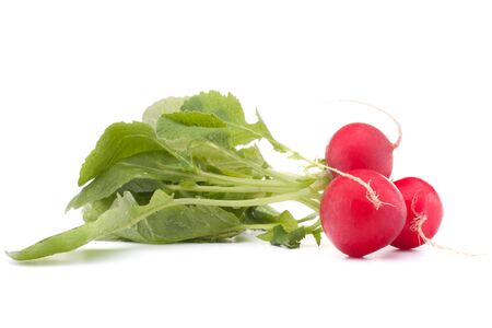 Small garden radish with leaves isolated on white background cutoutの写真素材