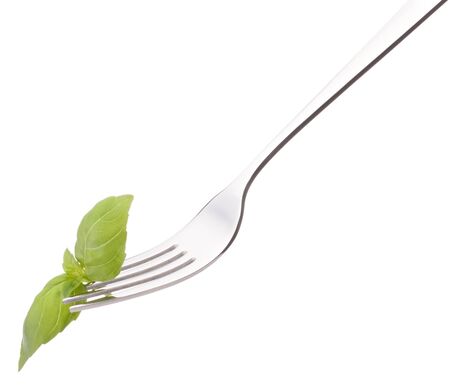 Fresh basil leaf  on fork isolated on white background cutout. Healthy eating concept.の写真素材