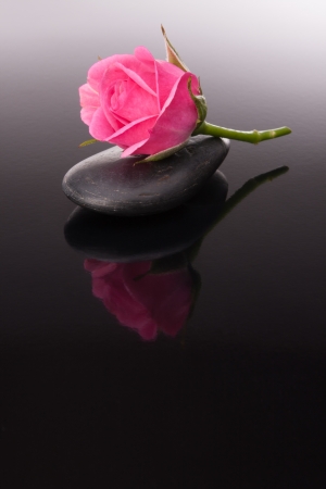 Spa stone and rose flowers still life. Healthcare concept.の写真素材