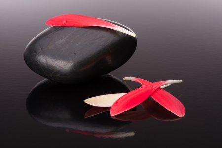 Spa stone and flower petal still life. Healthcare concept.の写真素材