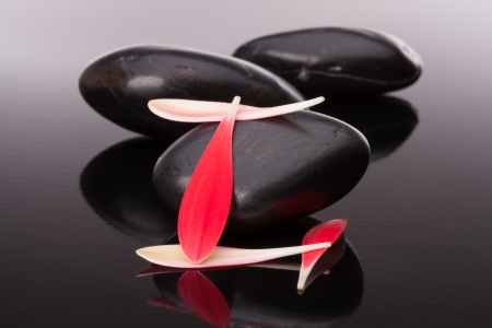 Spa stone and flower petal still life. Healthcare concept.の写真素材
