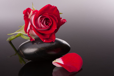 Spa stone and rose flowers still life. Healthcare concept.の写真素材