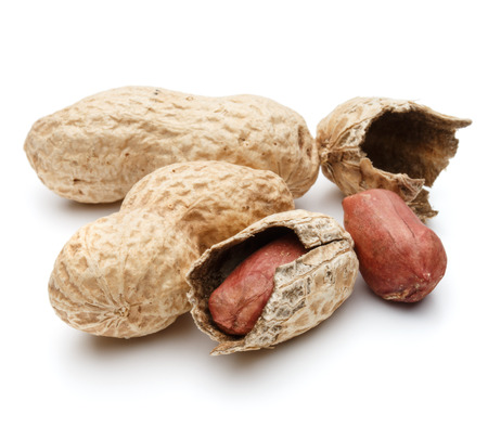 peanut pod or arachis isolated on white background cutout