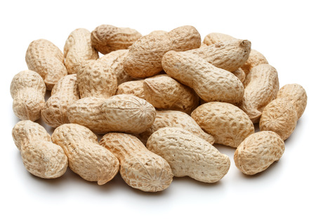 peanut pod or arachis isolated on white background 