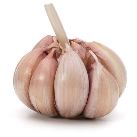Garlic bulb isolated on white background cutoutの写真素材