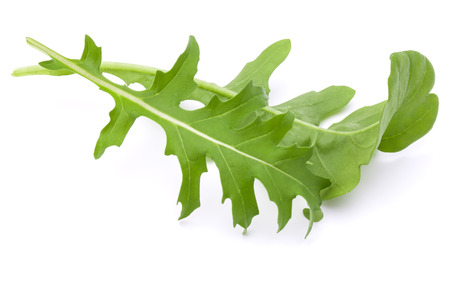 Close up studio shot of green fresh rucola leaves isolated on white background. Rocket salad or arugula.の写真素材
