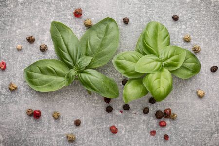 Sweet basil leaves over grey stone background. Top view.の写真素材