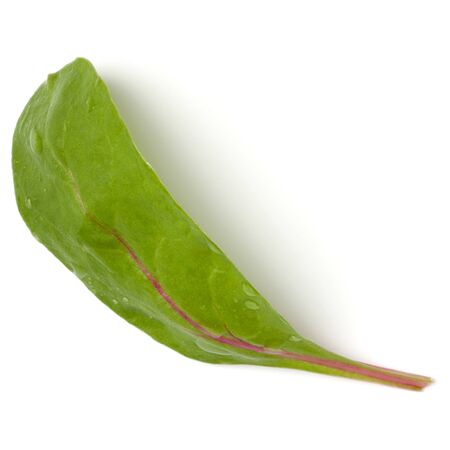 Lettuce chard leaf salad handful isolated on white