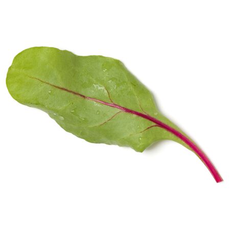 Lettuce chard leaf handful isolated on white background. Top view, flat lay.の写真素材