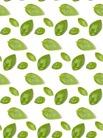 Sweet Basil herb leaves isolated on whiteの写真素材