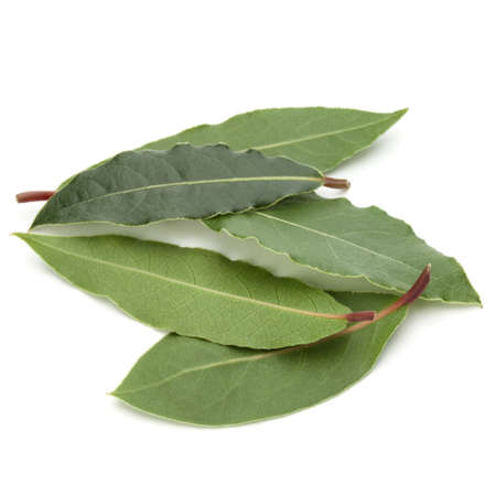 Aromatic bay leaves isolated on white background cutoutの写真素材