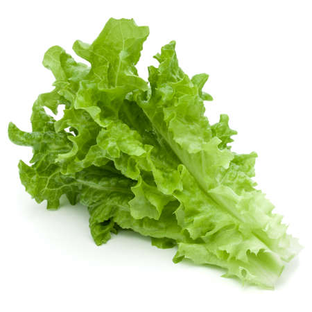 fresh green lettuce salad leaves isolated on white backgroundの写真素材