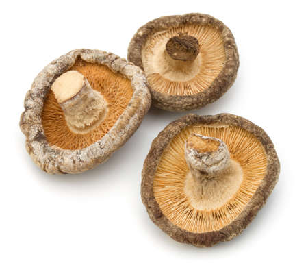 Dried Shiitake Mushroom isolated on white backgroundの写真素材