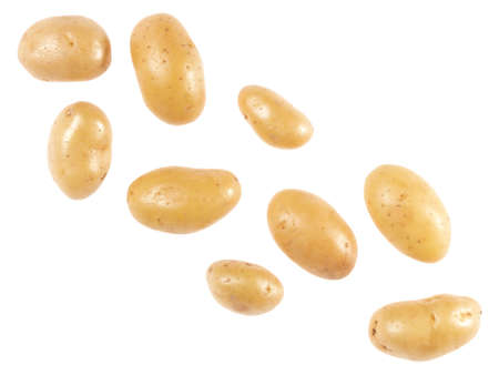Potato isolated on white background with copy space for your text. Top view. Flat lay pattern. Potatoes in air, without shadow.の写真素材