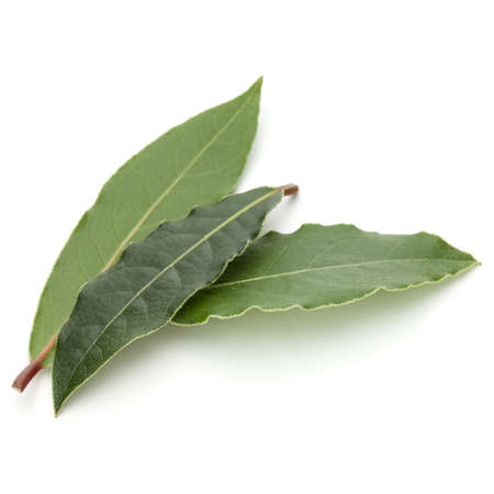 Aromatic bay leaves isolated on white background cutoutの写真素材