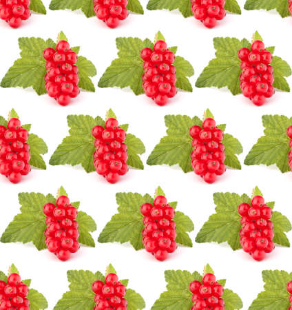 Red currants isolated on white background cutout.Creative layout, fruit seamless pattern.の写真素材