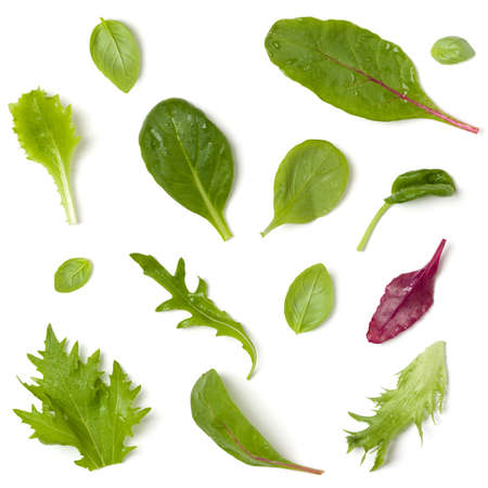 Creative layout made of lettuce salad leaves. Flat lay, top view. Vegetables isolated on white background. Food ingredients pattern.の写真素材