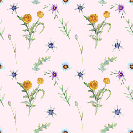 Wild flowers backgroundの写真素材