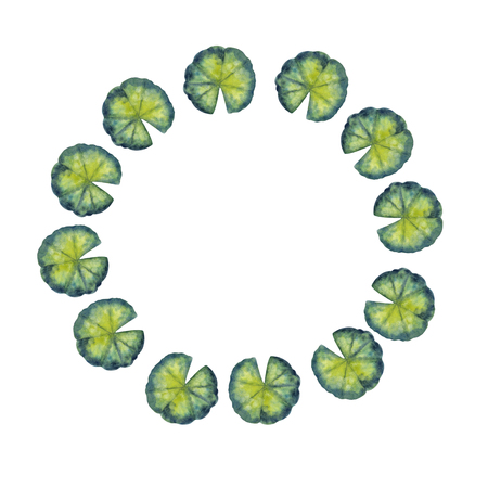 Watercolor frame of colorful tropical leaves. For invitations, greeting cards and Wallpapers.の写真素材