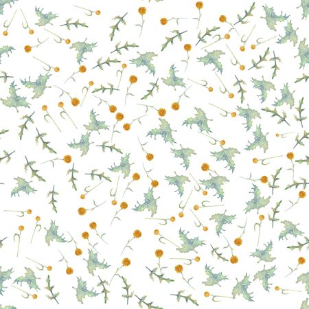 Seamless pattern with wildflowers and leaves on white background. Floral pattern for Wallpaper or fabric. Watercolor illustration. Element of packaging design, invitations, cards, etc.の写真素材