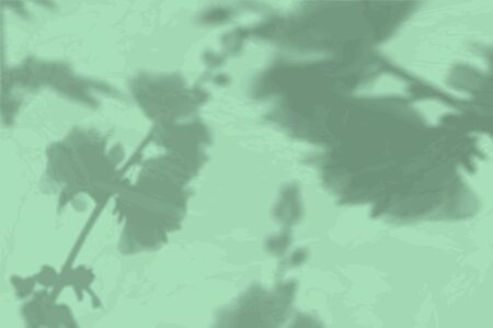 The shadow of a plant on a mint concrete wall. Black and white summer background for photo overlay...