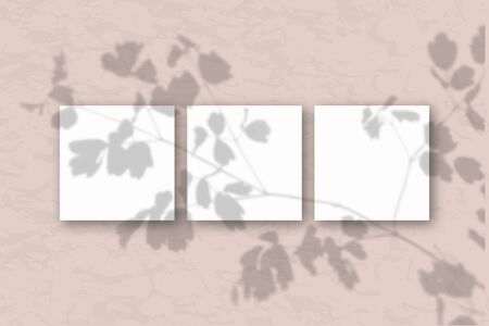 3 square sheets of white textured paper against a pink wall. Mockup overlay with the plant shadows....