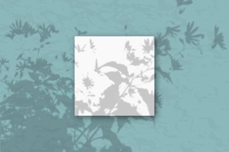 1 square sheets of white textured paper against a green wall. Mockup with an overlay of plant...