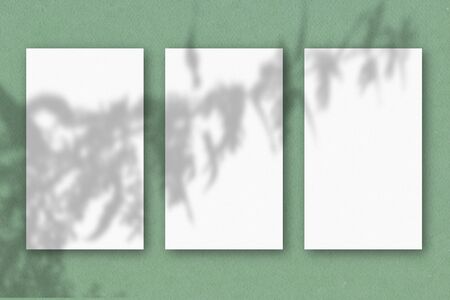 3 vertical sheets of white textured paper on a green wall background. Mockup with an overlay of...