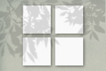 4 square sheets of white textured paper against a gray-green wall. Mockup overlay with the plant...