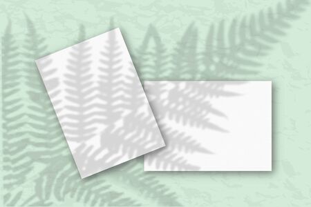 2 sheets of white textured paper against a gray wall. Mockup with an overlay of plant shadows....