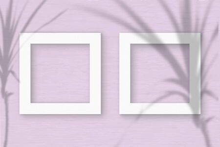 2 square frame sheet of white textured paper on pink wall background. Mockup overlay with the plant...