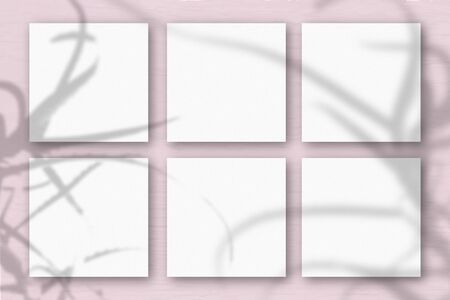 6 square sheets of white textured paper on pink wall background. Mockup overlay with the plant...