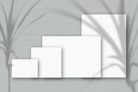 Several horizontal and vertical sheets of white textured paper against a grey wall background. Mockup with an overlay of plant shadows. NNatural light casts shadows from a tropical plant. Horizontal orientationの写真素材