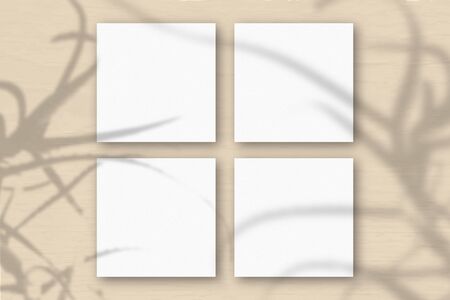 4 square sheets of white textured paper on orange wall background. Mockup overlay with the plant shadows. Natural light casts shadows from the aloe. Flat lay, top view. Horizontal orientationの写真素材