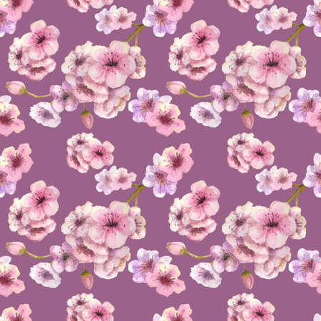 Seamless pattern. Cherry color. Sakura branch with pink flowers on a lilac background. Image of spring. Watercolor illustration. Design elementの写真素材