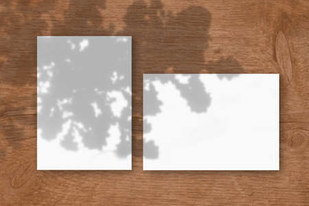2 sheets of white textured paper against a wooden table background. Mockup with an overlay of plant shadows. Natural light casts shadows from the oak leaves. Flat lay, top view.の写真素材