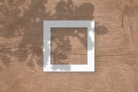 The square sheet of white textured paper on the wooden table background Mockup with an overlay of plant shadows. Natural light casts shadows from the oak leaves. Flat lay, top view.の写真素材