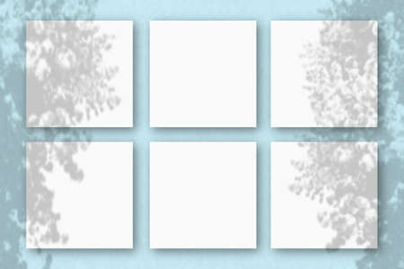 6 square sheets of white textured paper on the blue wall background. Mockup overlay with the plant...