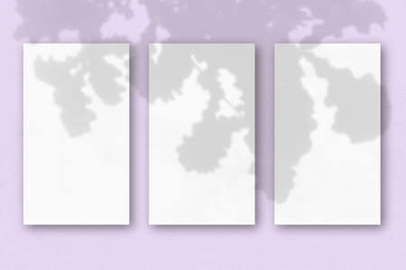 3 vertical sheets of textured white paper on pink table background. Mockup with an overlay of plant...