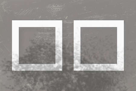 Two square sheet of white textured paper on the grey wall background. Mockup with an overlay of plant shadows. Natural light casts shadows from the leaves of an Apple branches. Flat lay, top view.の写真素材