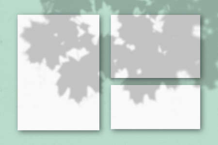 Several horizontal and vertical sheets of white textured paper on the background of a light green...