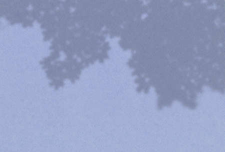 Summer background of plant shadows. Shadow of tree leaves on a blue wall. White and black to overlay...