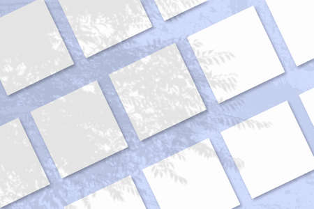 Natural light casts shadows from an exotic planton severak square sheets of white textured paper...