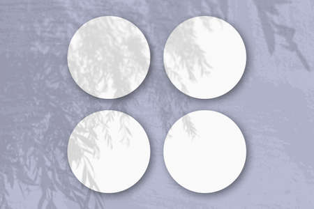 Natural light casts shadows from an willow branch on 4 round sheets of white textured paper lying on...