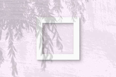 Natural light casts shadows from an willow branch on square frame of white textured paper lying on a...